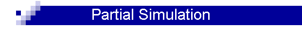 Partial Simulation